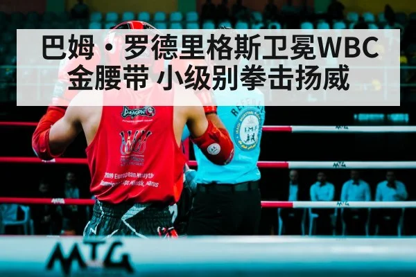 巴姆·罗德里格斯卫冕WBC金腰带 小级别拳击扬威 - jiuyouhui